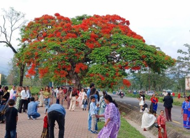 category photo