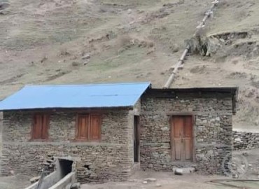 category photo