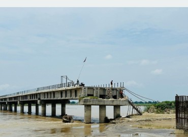 category photo