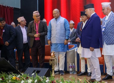 category photo