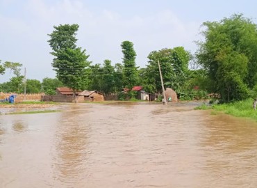 category photo