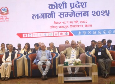 category photo