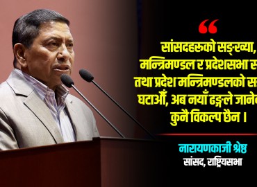मन्त्री संसद्बाहिरबाट नियुक्त गर्न नारायणकाजीको प्रस्ताव