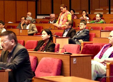 category photo