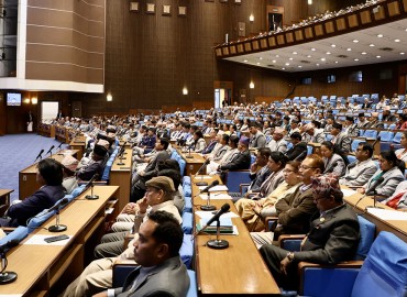 category photo