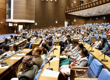 category photo