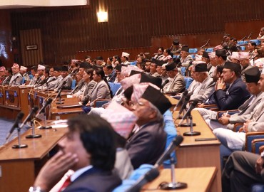 category photo