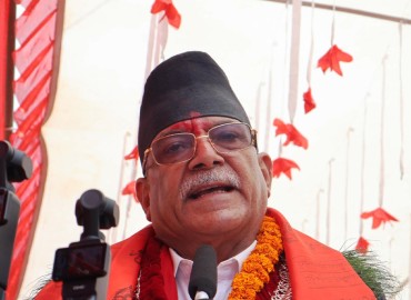 category photo