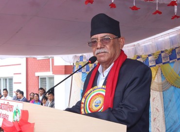category photo