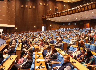 category photo