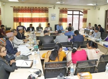 category photo