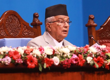 category photo