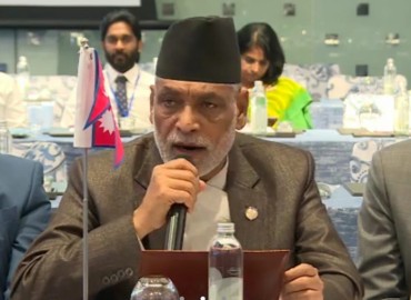 category photo