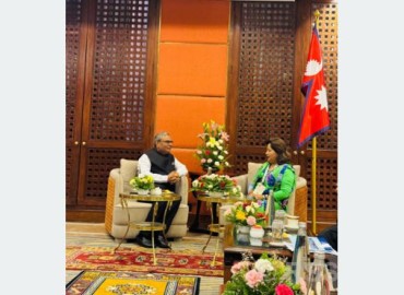 category photo