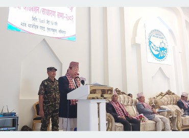 category photo
