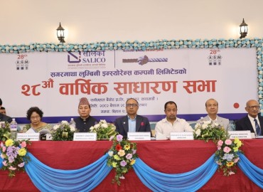 category photo
