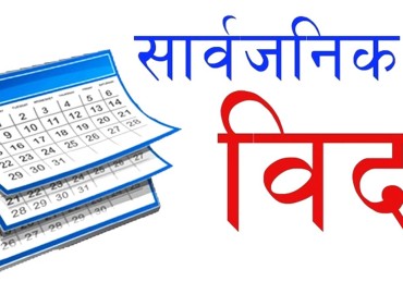 category photo