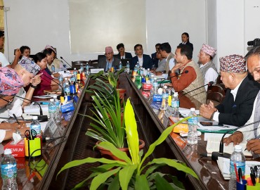 category photo