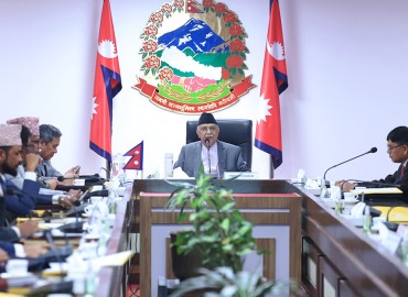 category photo