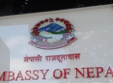category photo