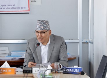 category photo