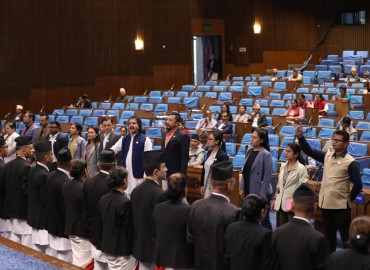 category photo