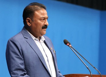 category photo
