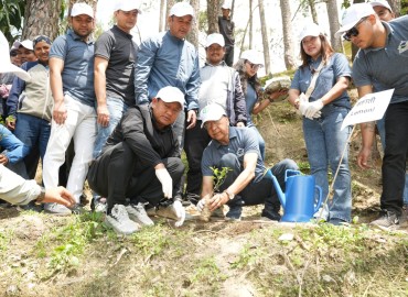 category photo