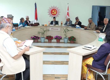 category photo