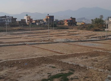 category photo