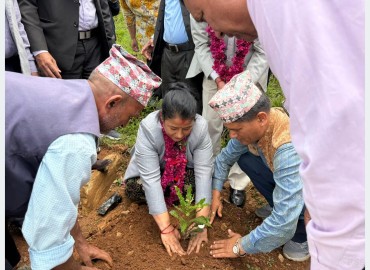 category photo