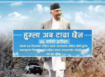 category photo