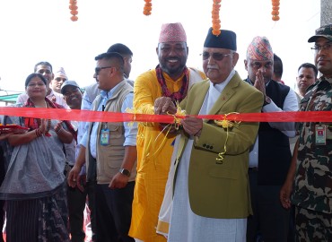 category photo