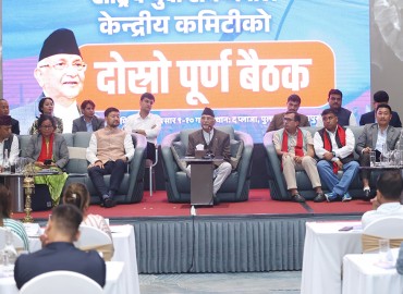 category photo
