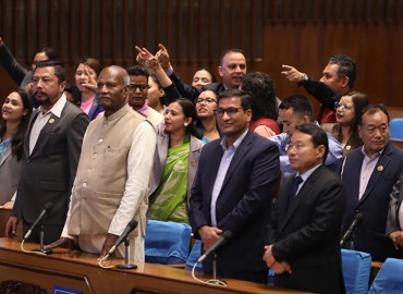 category photo