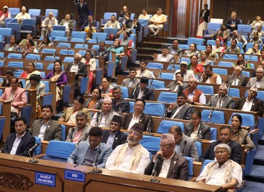 category photo