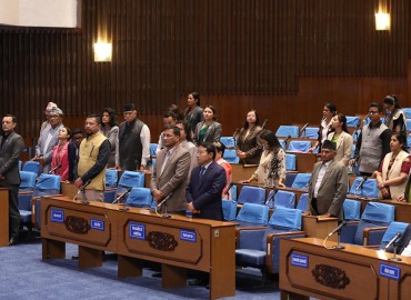 category photo