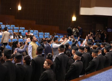 category photo