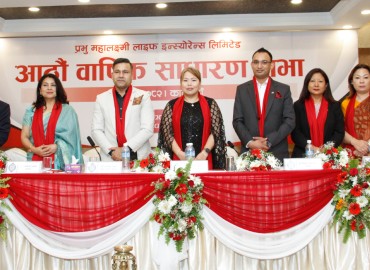 category photo