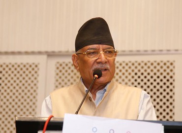 category photo