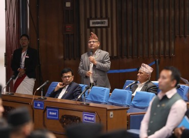 category photo