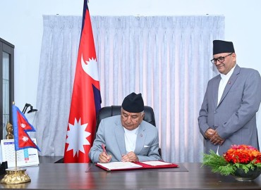 category photo