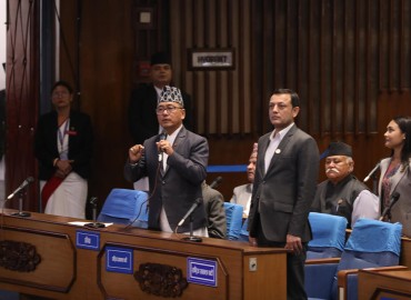 category photo