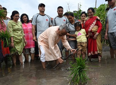 category photo