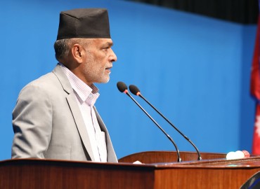 category photo