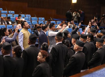 category photo