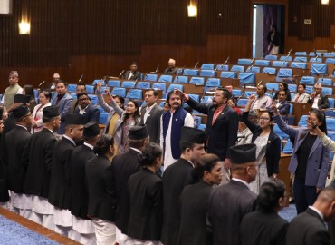 category photo