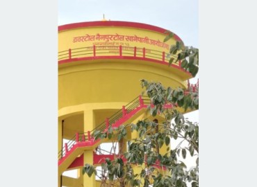 category photo