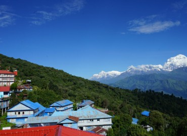 category photo
