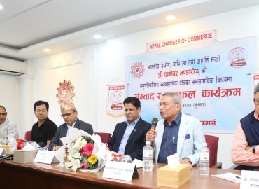 category photo